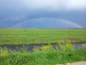Regenboog in het friese landschap