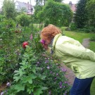 Natuur in de buurt (deel 2)