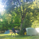 Update #6 Puffen onder de pruimenboom