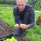 Lekker zo’n slaatje bla uit eigen tuin