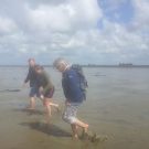Retourtje naar de geul op het wad