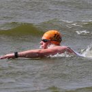 2020: beter kan het open water zwemmen niet worden