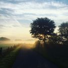 M’n wereldreis kalmpjes aan door Noord-Holland